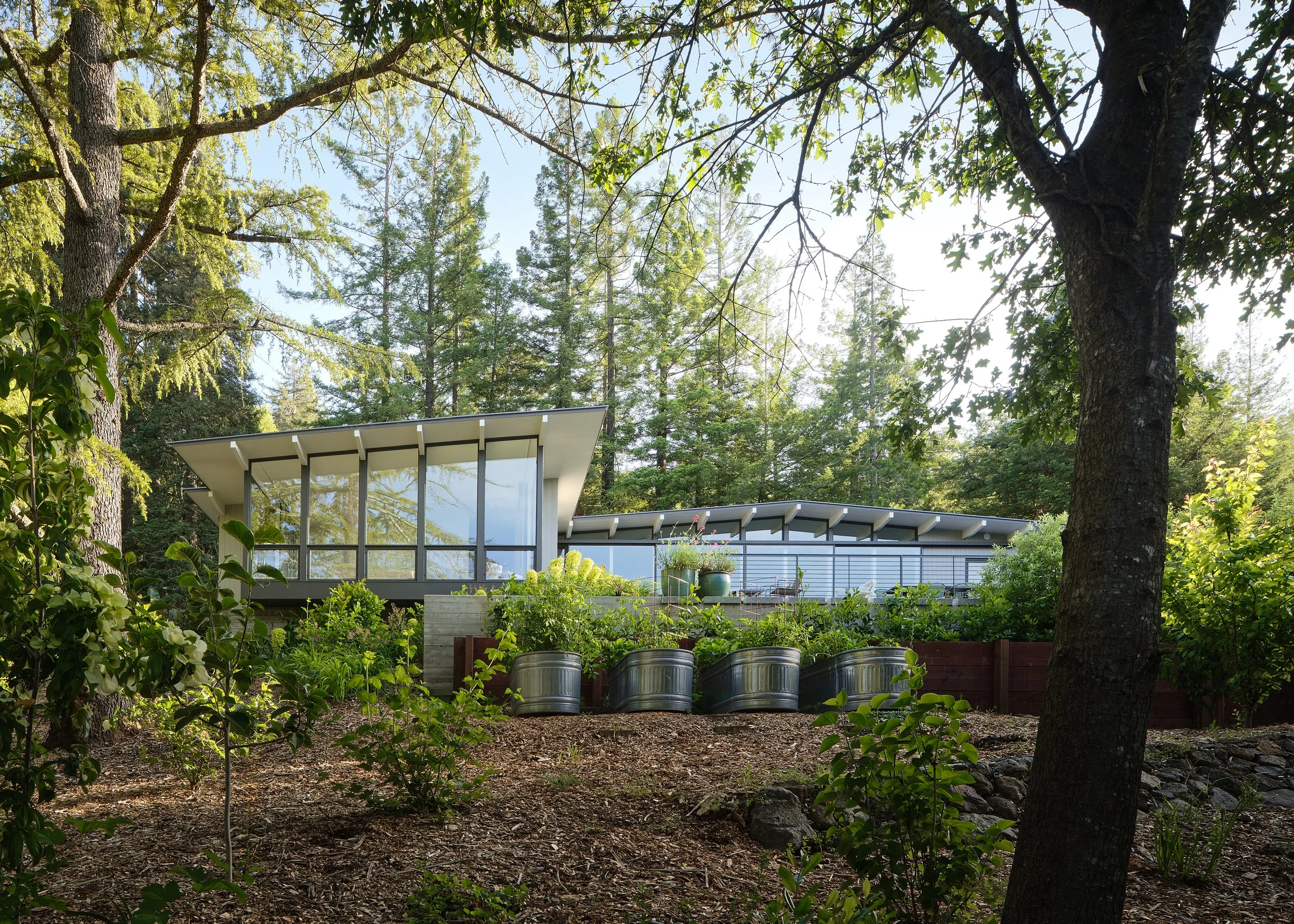 A modern house with large glass windows, surrounded by trees and greenery, situated on a sloped terrain with garden plants and metal planters in the foreground.