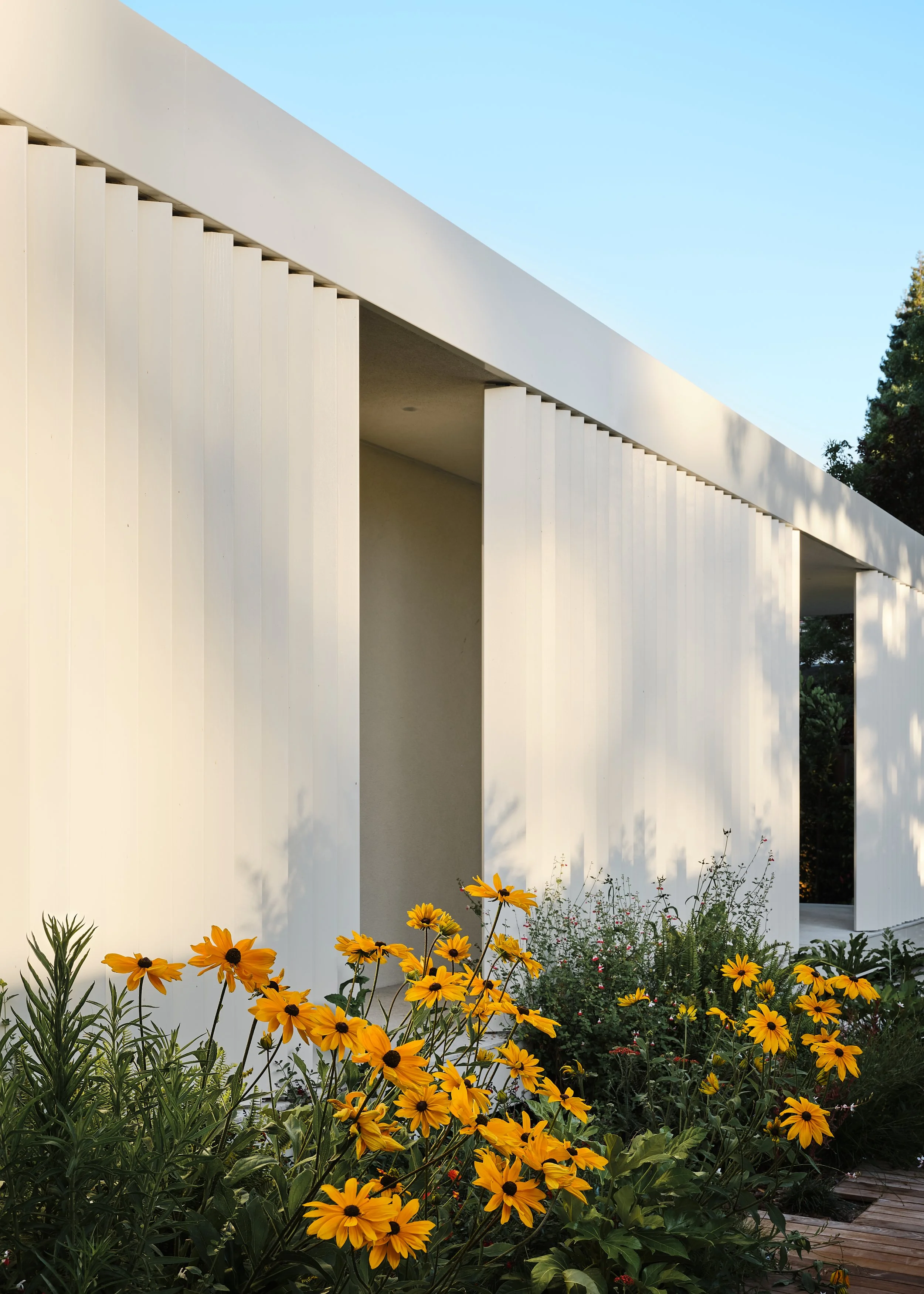 FAB Homes_Forest-89__1180.jpg