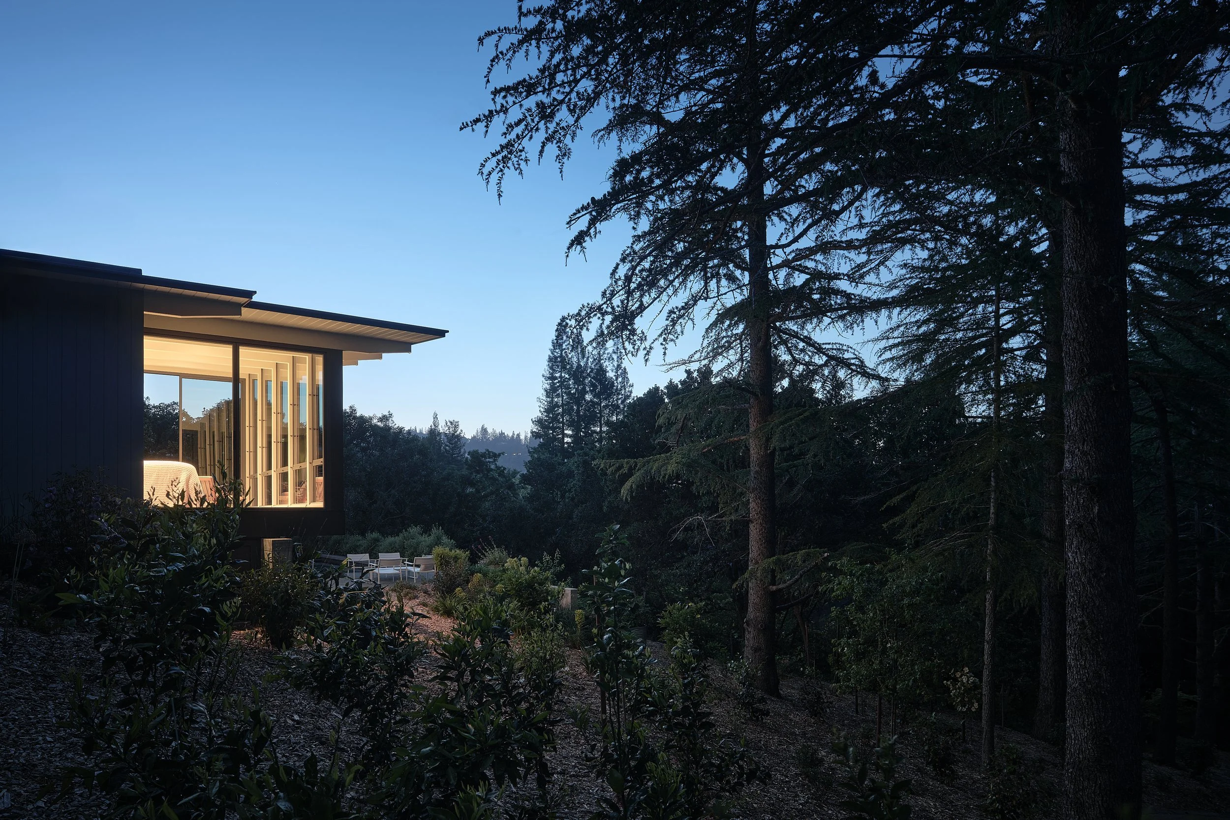House with large windows illuminated at dusk, surrounded by trees and plants in a natural setting.