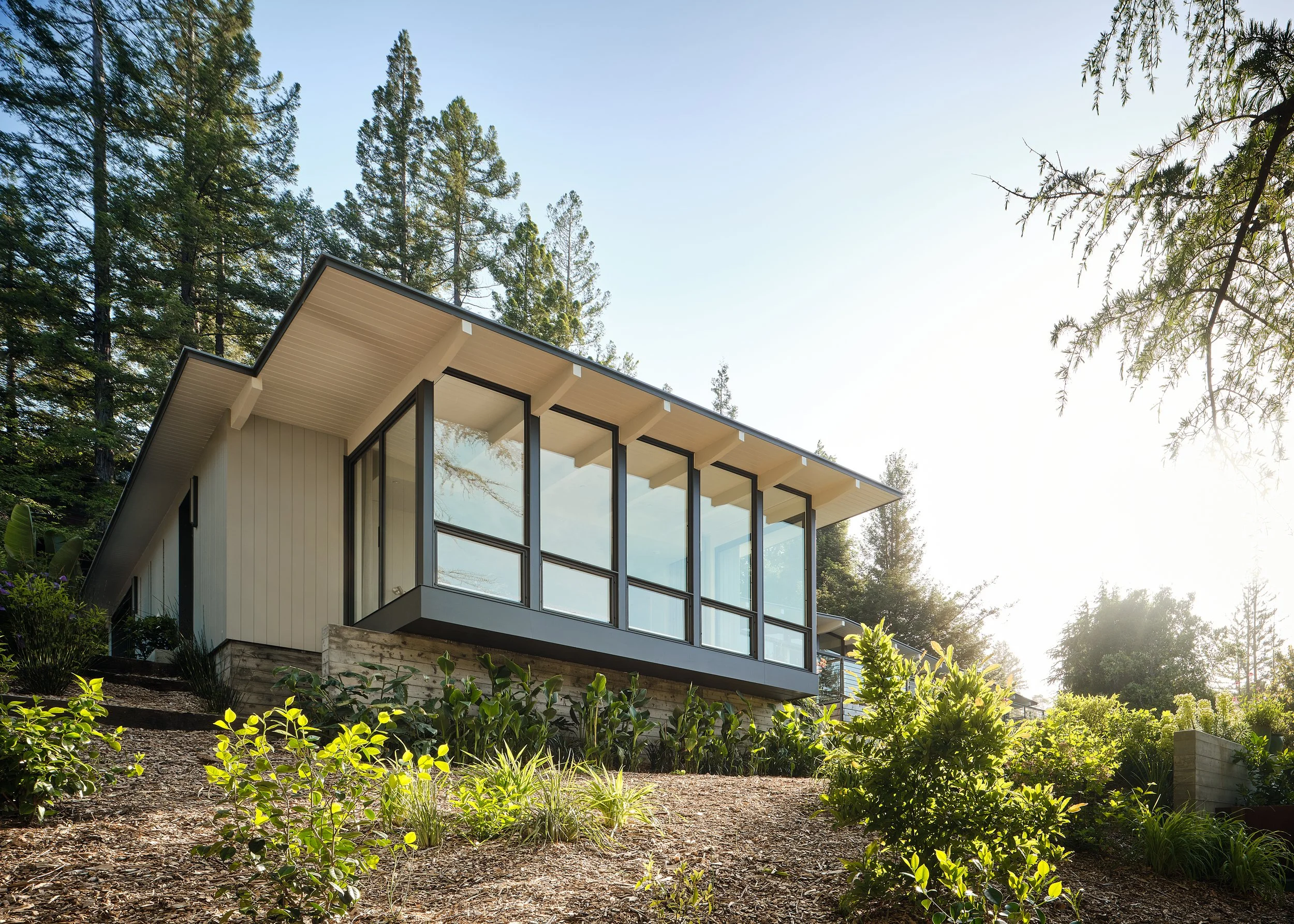 Modern house with large glass windows on a hillside, surrounded by trees and green bushes, sunny weather