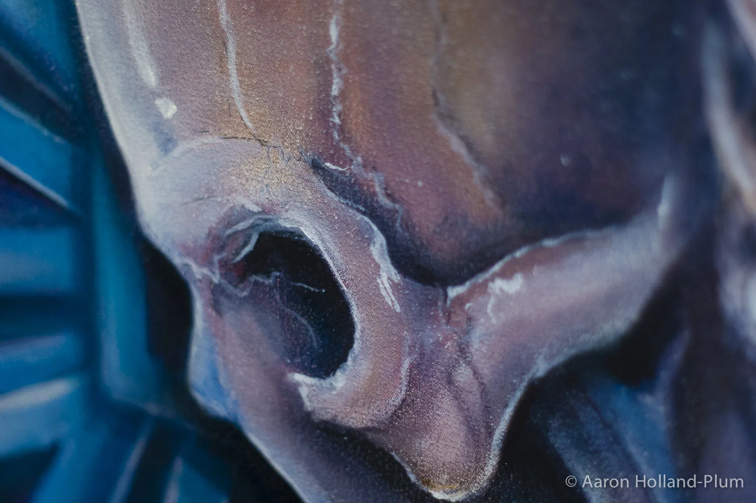 canvas main page banner.jpg