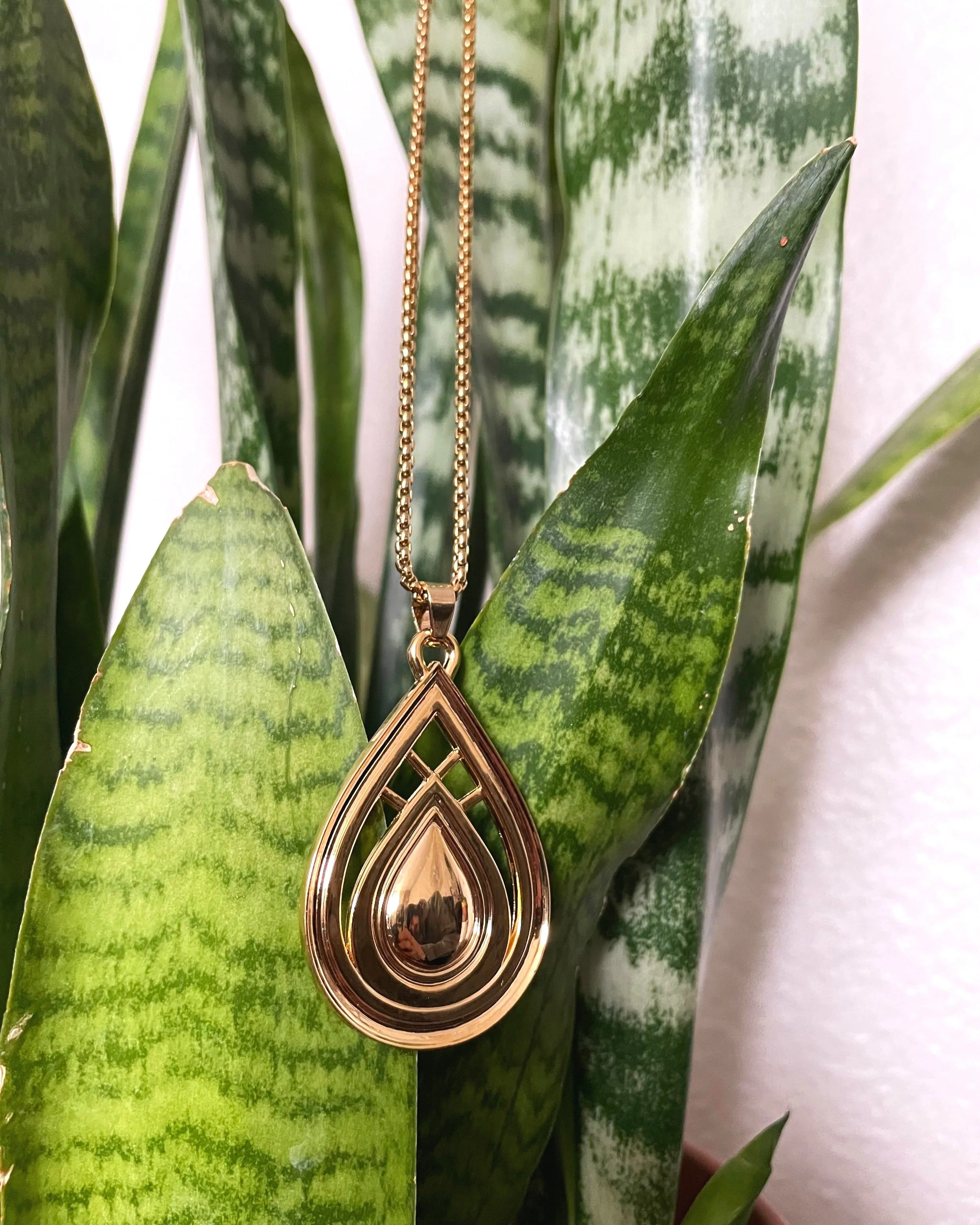 Gold%2Bdrop%2Bplant%2Bpic%2B1.jpg