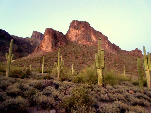 Gold Canyon