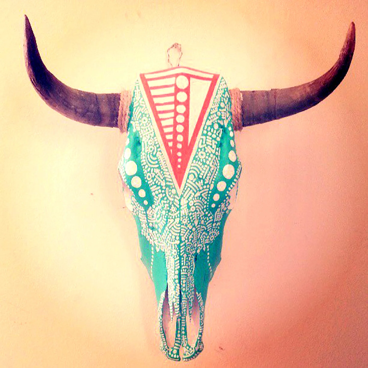 COW+Skull+2.jpg