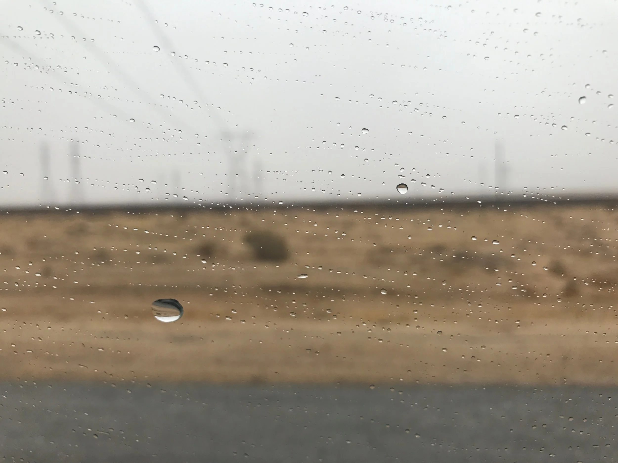 The rain made the desert drive enjoyable