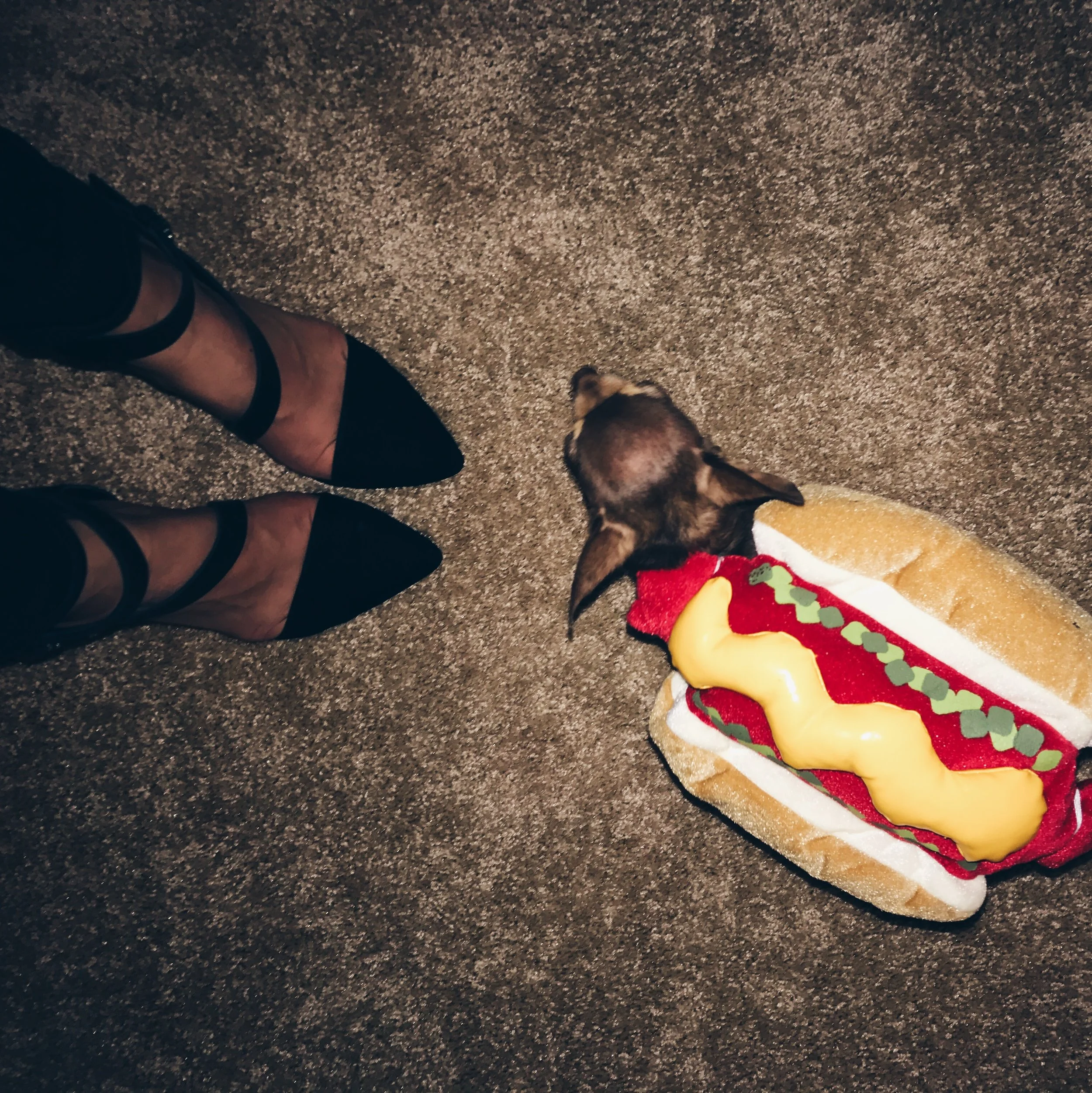 Lou the hot dog