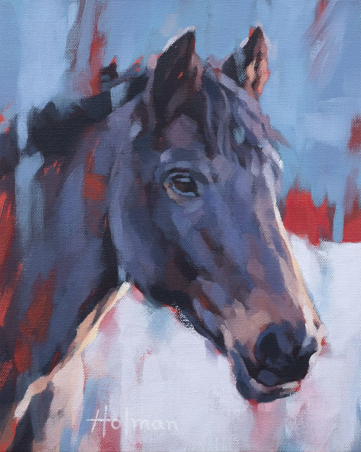 Dark Brown Mare Study II