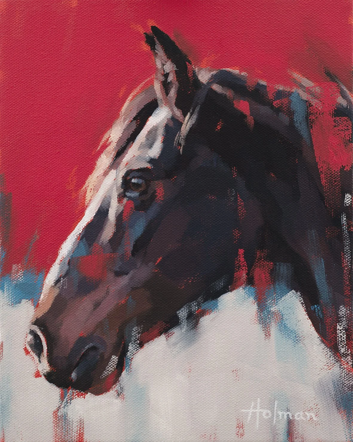 Dark Brown Stallion Study