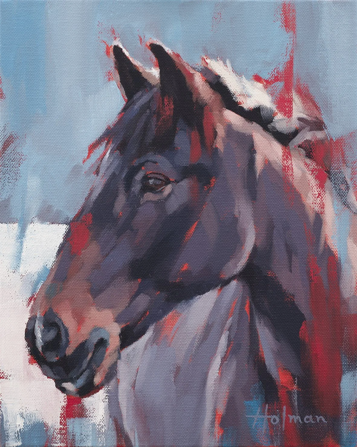 Dark Brown Mare Study