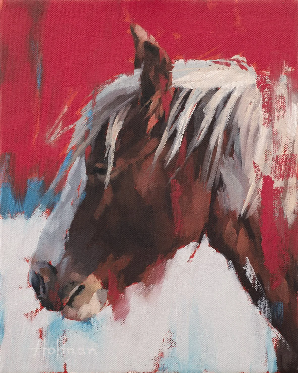 Pinto Mare Study