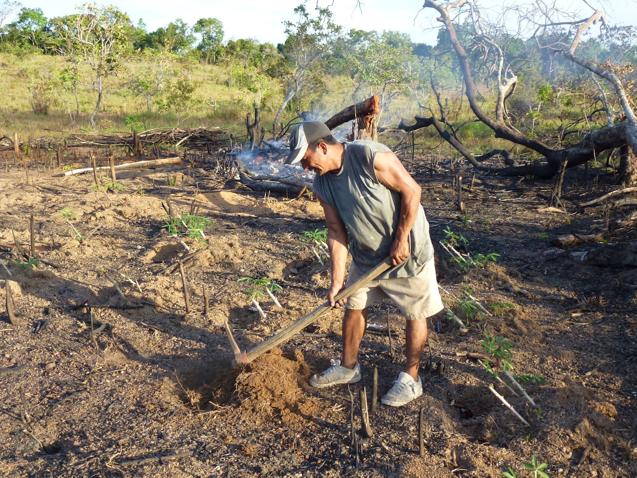 Ploughing Banks 1.JPG