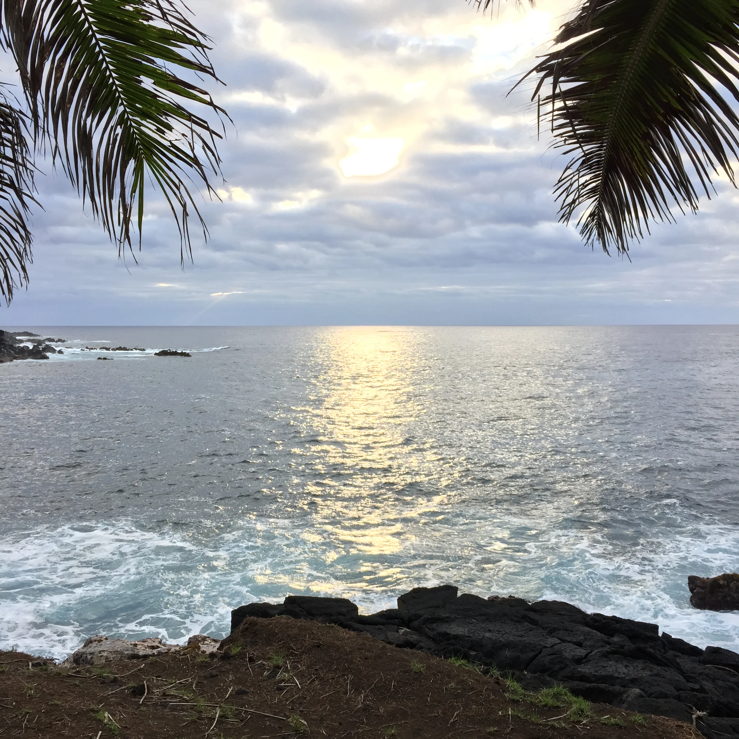 Aloha! Grow Paradise Retreat