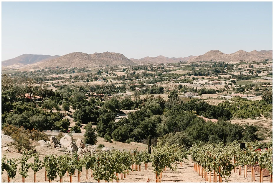 WHIMSICAL TEMECULA WINE COUNTRY WEDDING ELLELILY.COM_0164.jpg