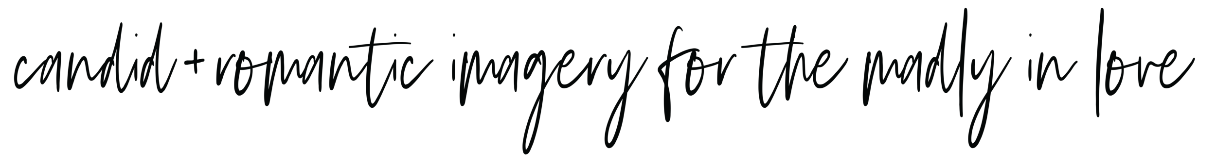 ELLELILY-tagline03-transparent.png