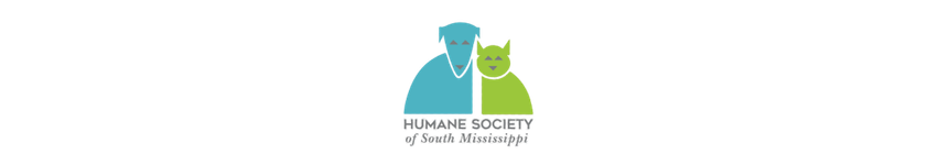 17.png