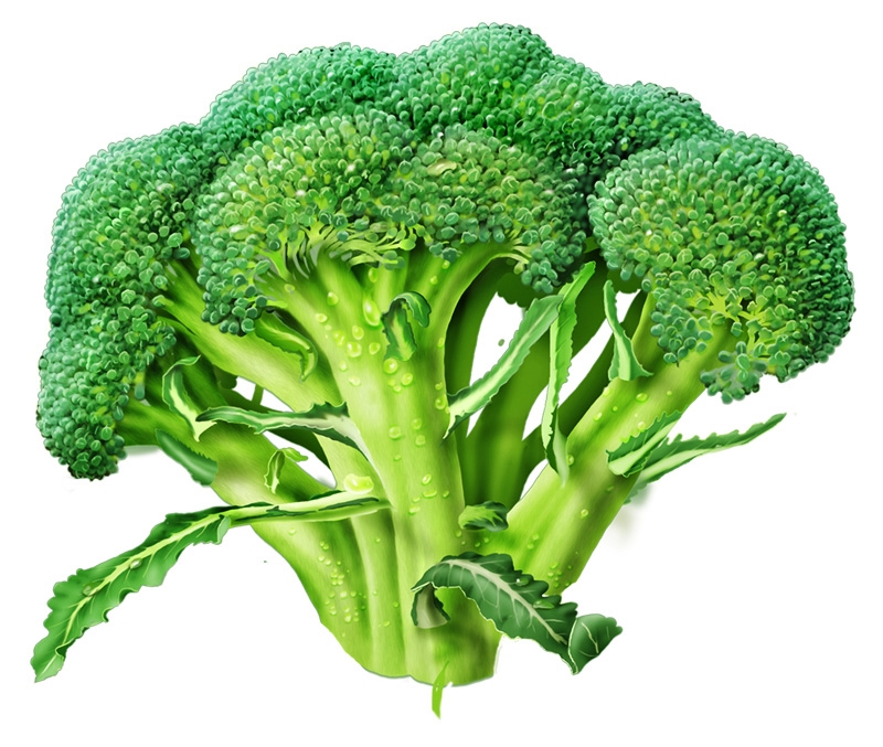 broccoli-alone.jpg