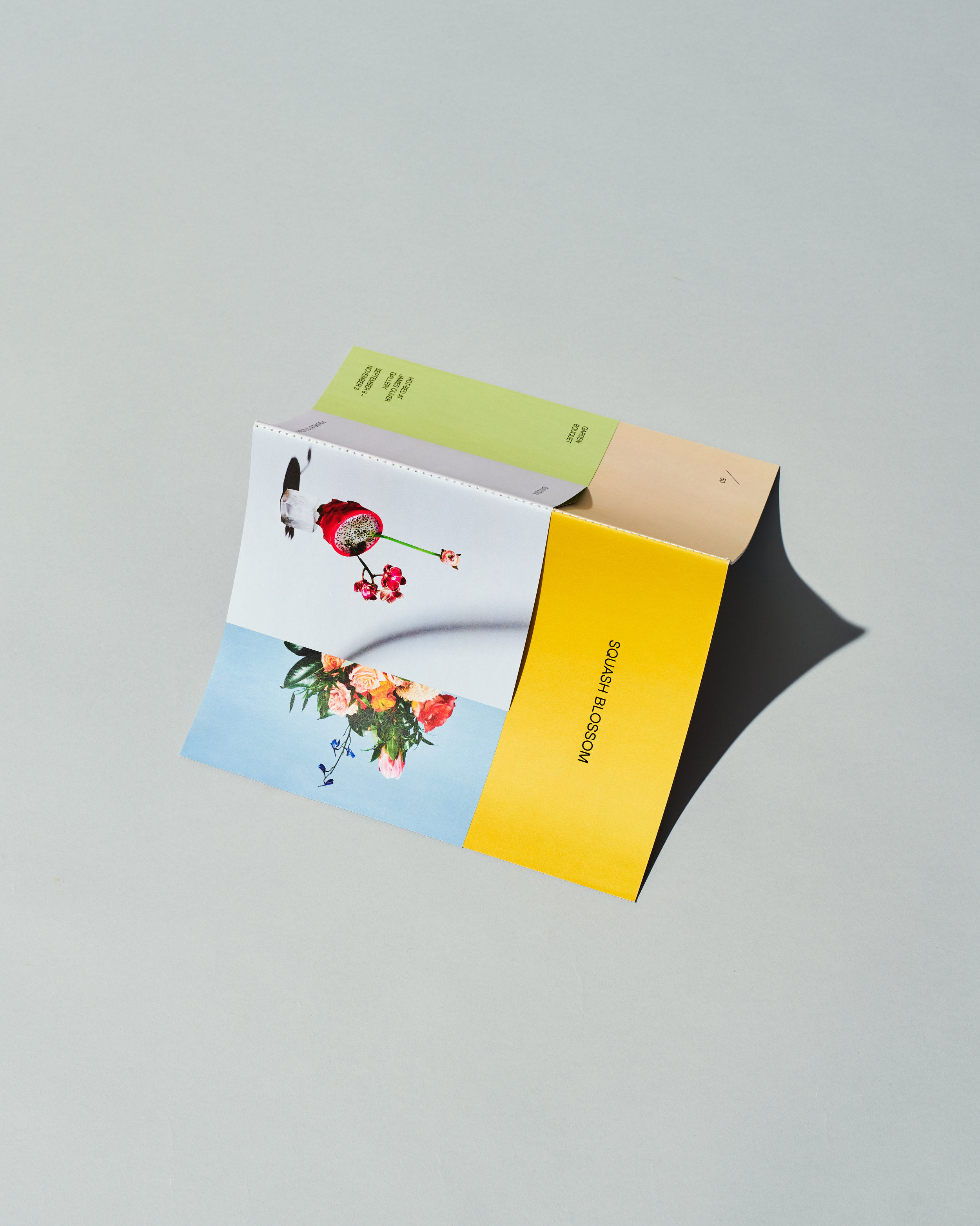 180418_SQUASHBLOSSOM1023.jpg