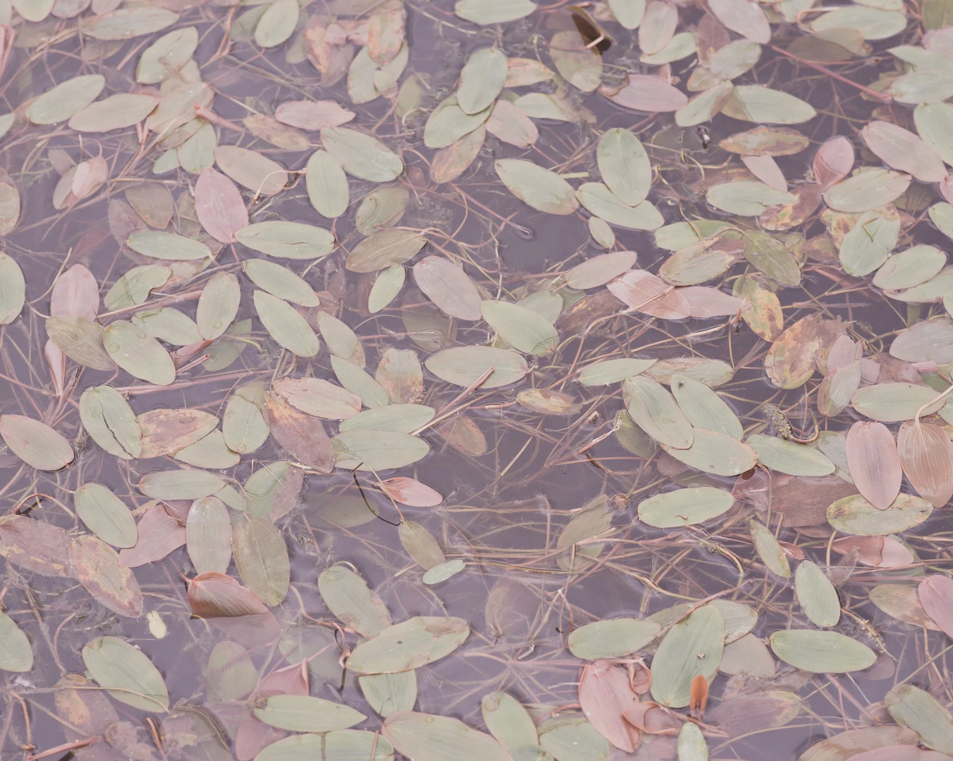 20120806-_DSC6712.jpg