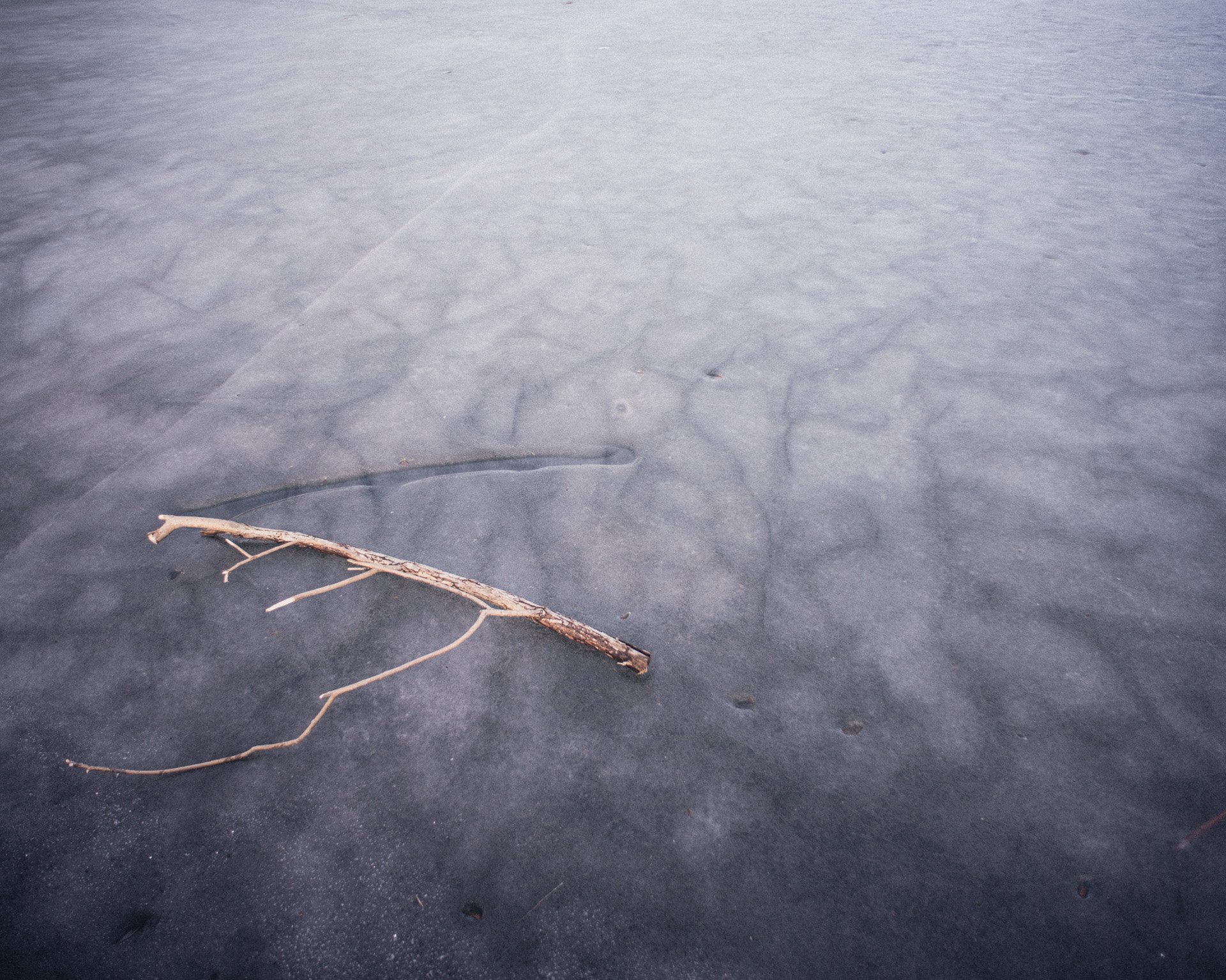 20120318-_80G0727.jpg