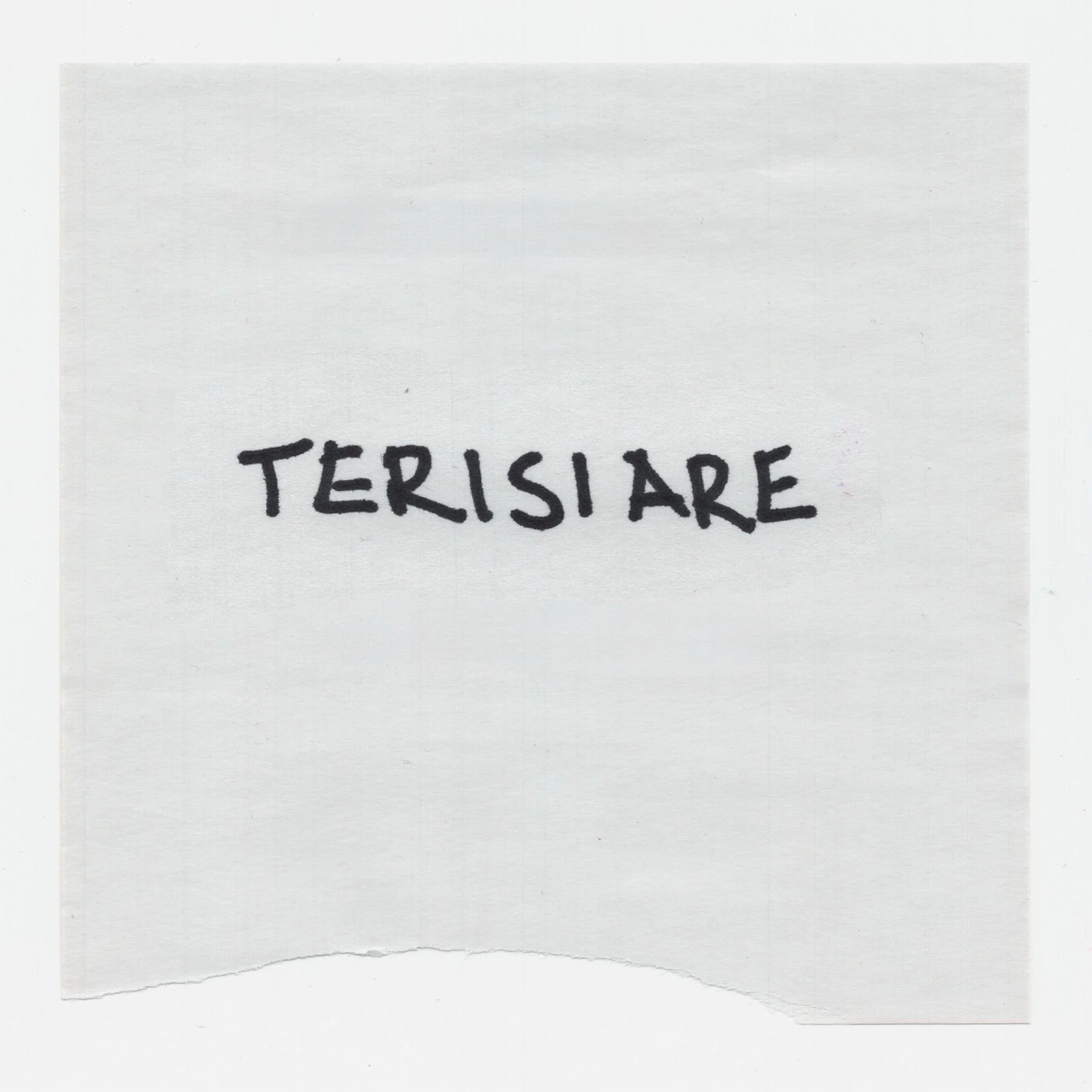 terisiare.JPG