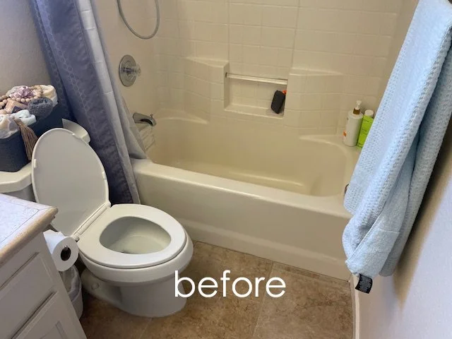 tub to shower before 2.jpg