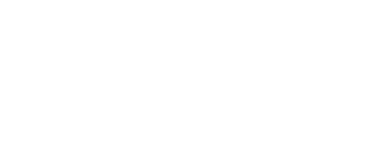 Boondoggle