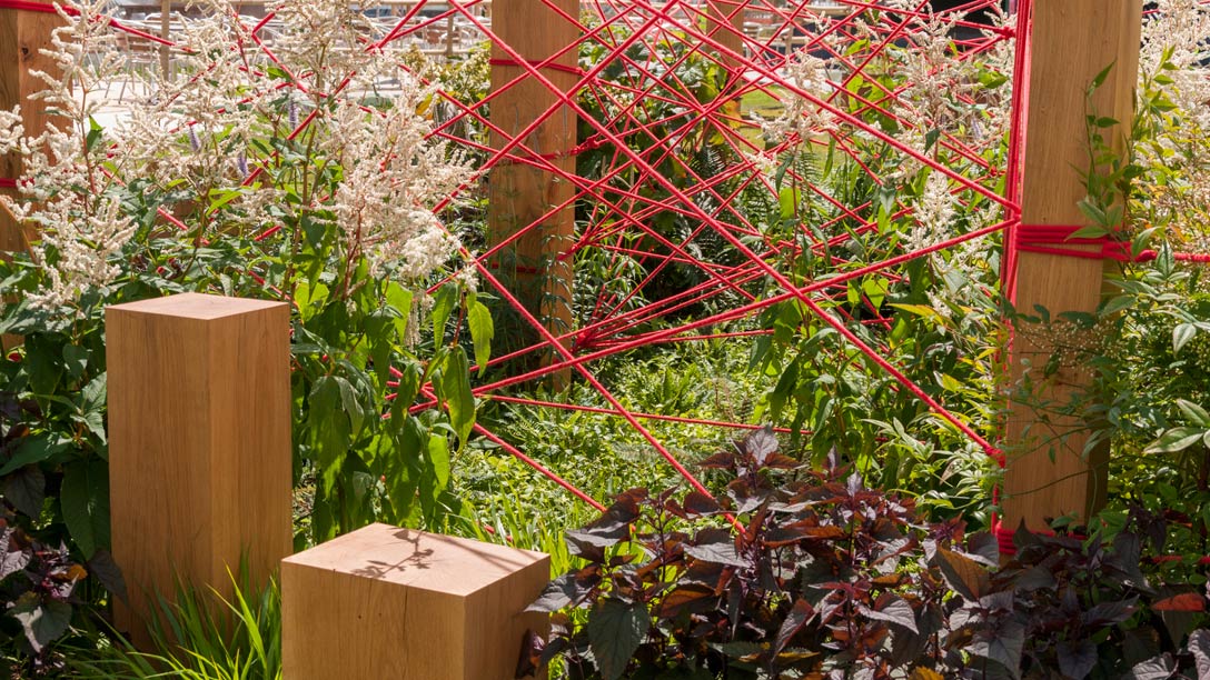 The-Red-Thread__1088x612-02.jpg