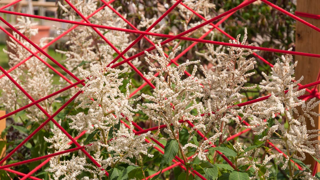 The-Red-Thread__1088x612-03.jpg