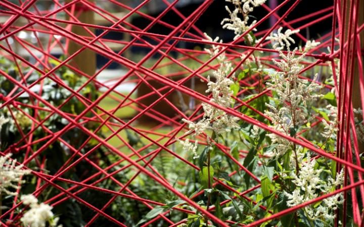 102399794-red-thread-large_trans++eo_i_u9APj8RuoebjoAHt0k9u7HhRJvuo-ZLenGRumA.jpg
