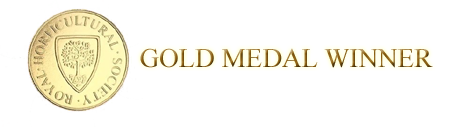 Gold medal.png