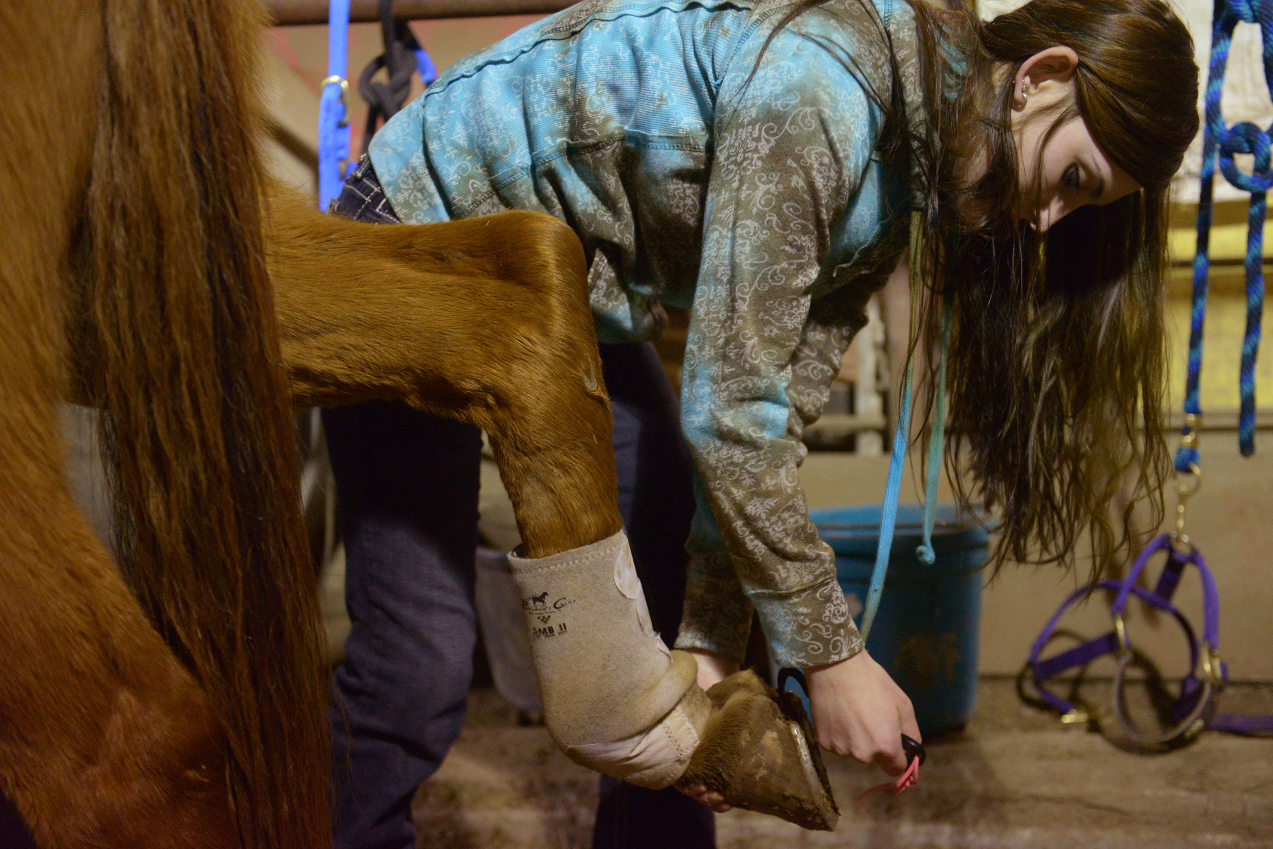   During a competition,&nbsp;&nbsp;Amee scrapes mud off the bottom of Banjo's hoof to help with his traction. Banjo is much calmer when he's around Amee's other horse, Pistol. "She's his girlfriend," Amee says.&nbsp;  