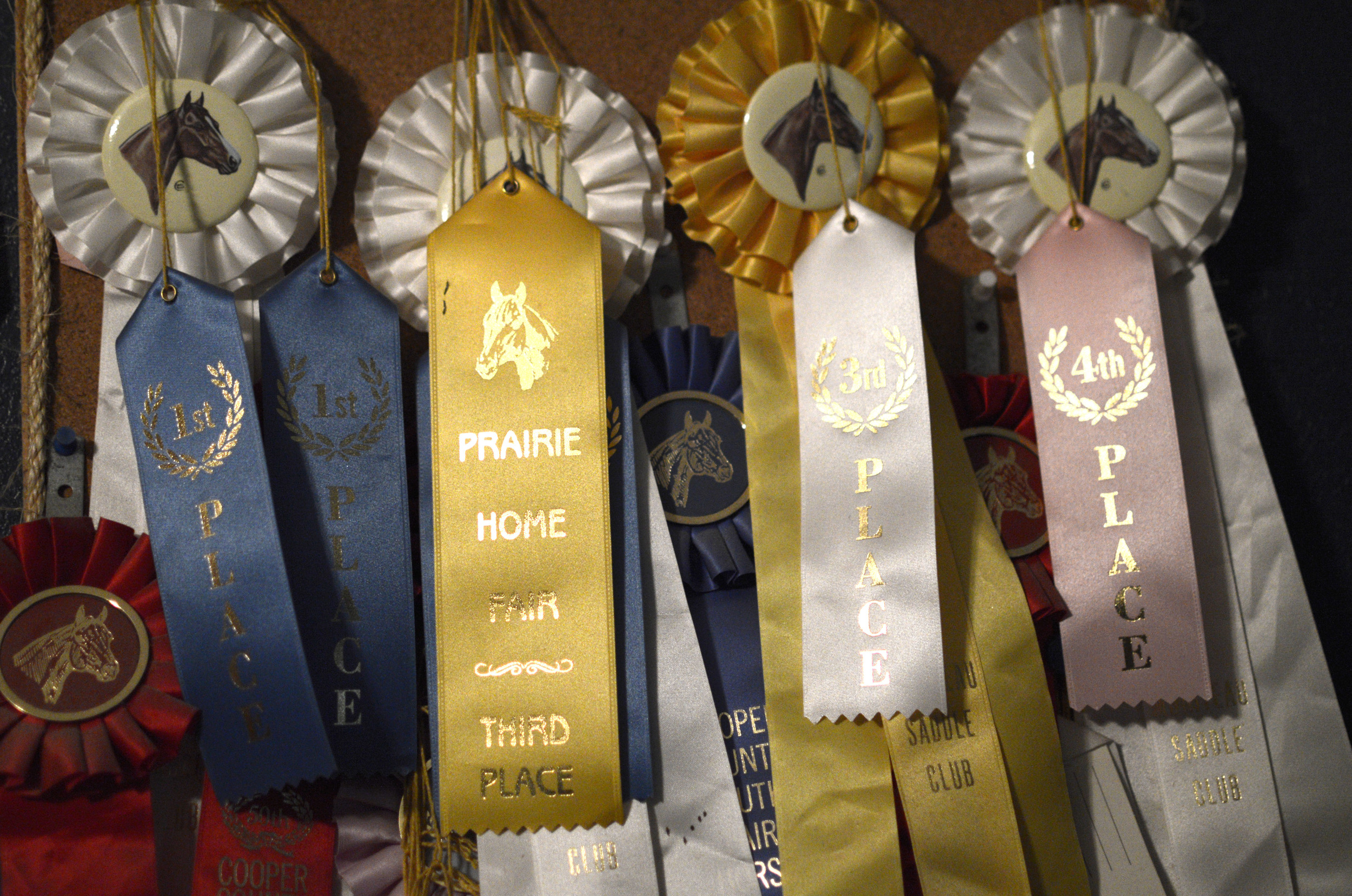   Several ribbons from barrel racing hang from Amee's bedroom wall. She was crowned the Missouri High School Rodeo Queen for the 2011-2012 season.&nbsp;  