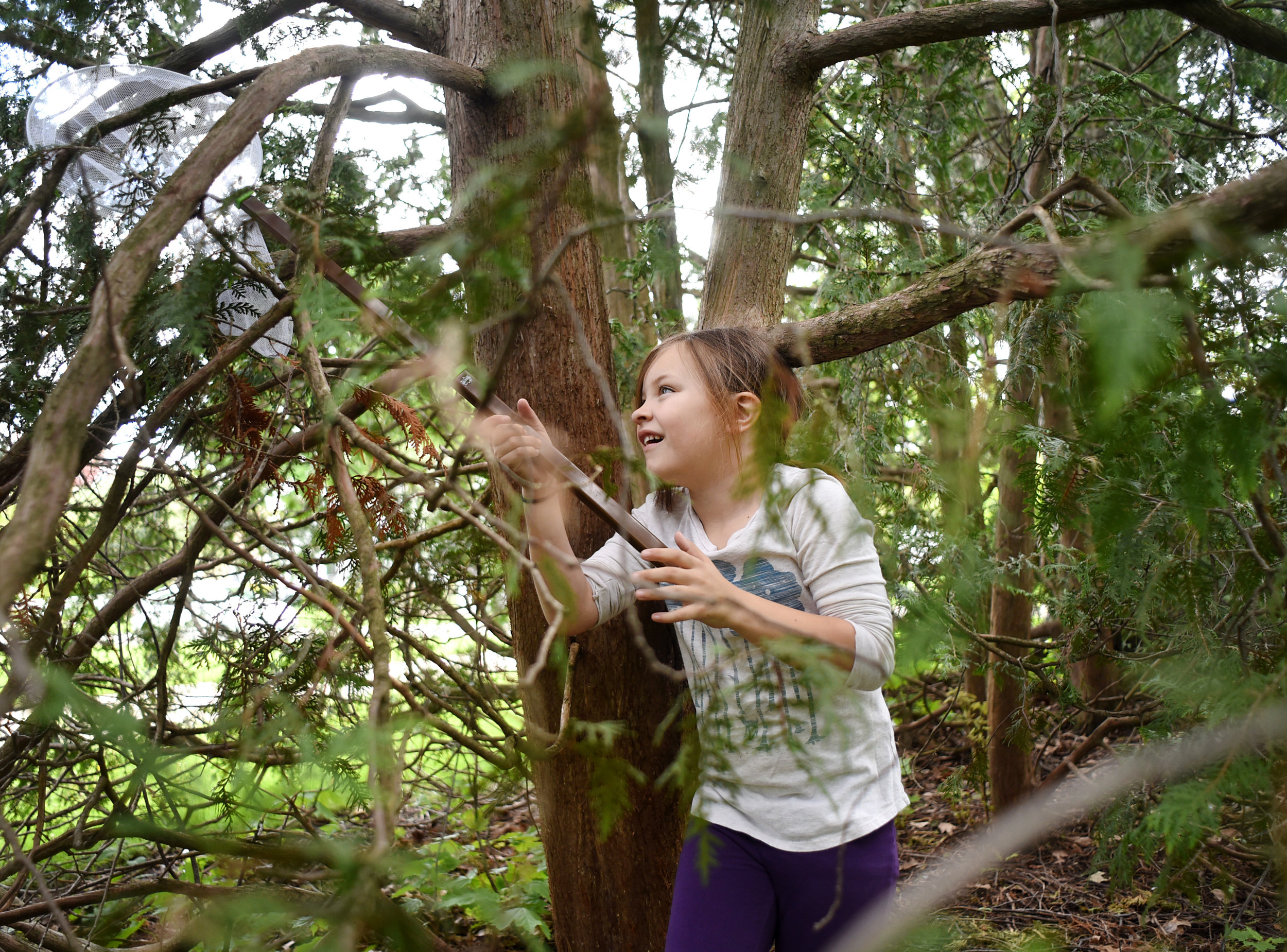 Alyssa Wells, 7, plays in her neighbor's pine tree with a butterfly net May 12, 2016.