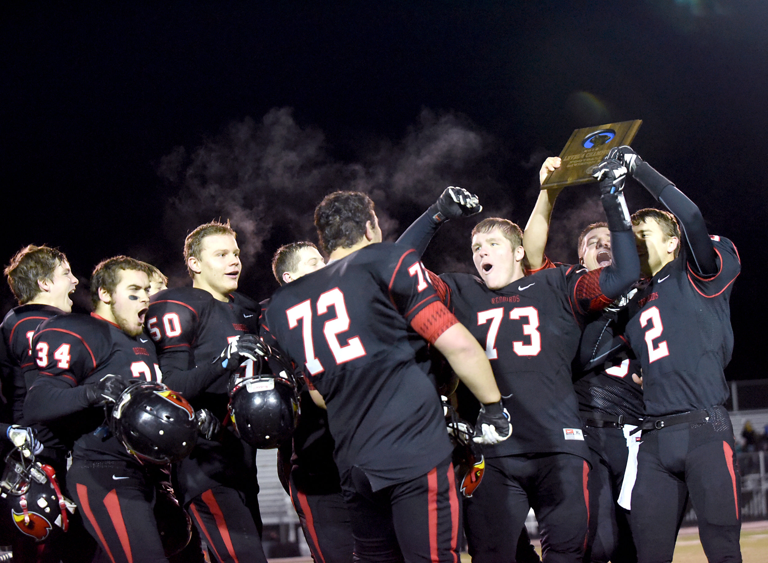  The Darlington football team celebrates winning their state semi-final game against Melrose-Mindoro at Middleton High School Nov. 13, 2015.&nbsp; 