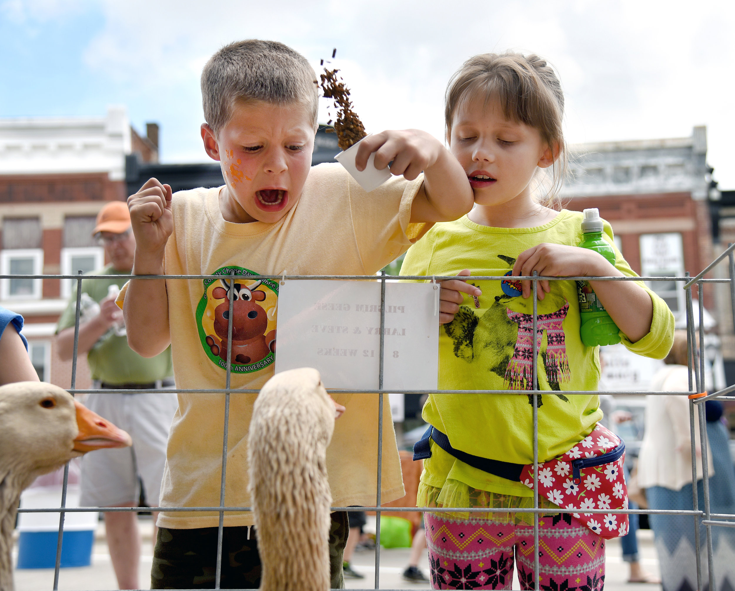  Bentley Keller, 6, reacts after being bit while feeding a pilgrim goose next to Harmony Hawkins-Grinnell, of Juda, at a petting zoo at the Super Cows Kickoff on the the Square June 4, 2016. "It didn't hurt though," Keller said.&nbsp; 