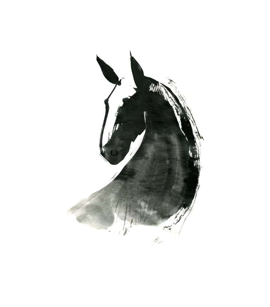 horse_01.jpg