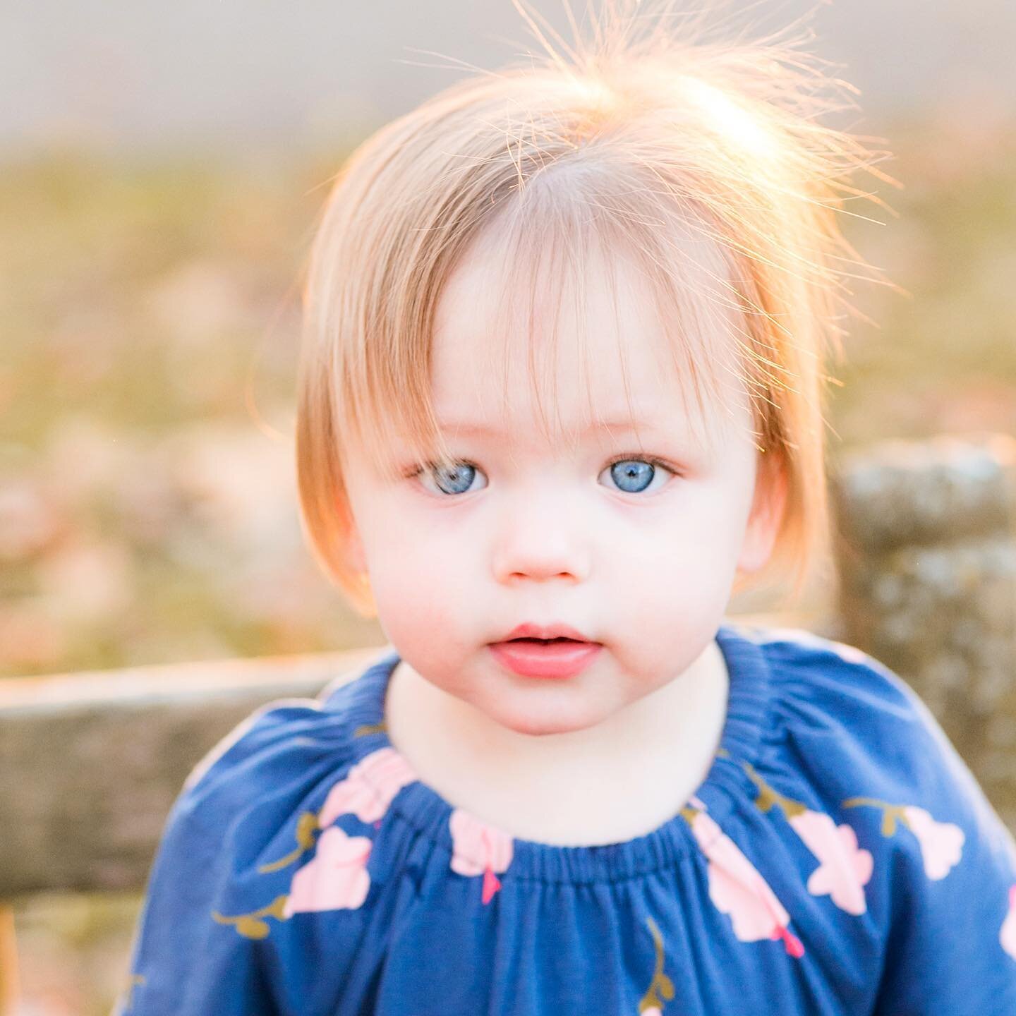 Greta, you are the sweetest little angel and I can&rsquo;t get enough of those baby blues. 💙