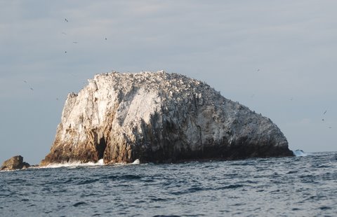 ROCA BLANCA