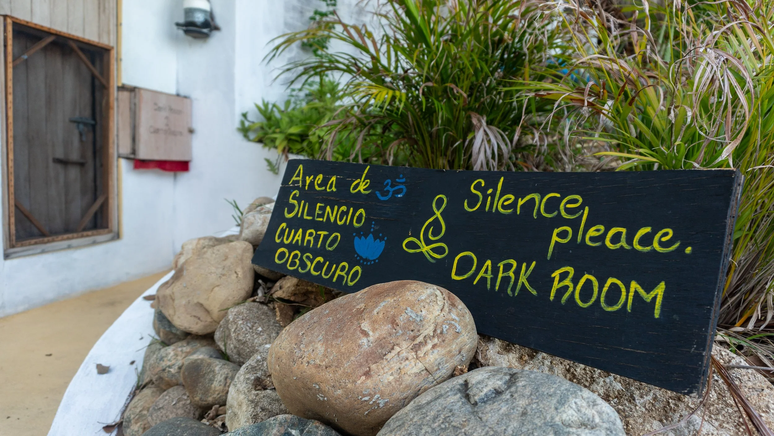 Dark Room Yoga Retreats in Mazunte Transformative Meditation, Recovery, and Detox