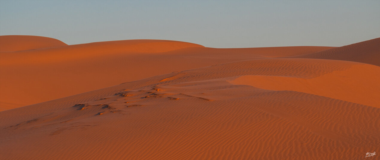 Biwald_2018_Imperial_Sand_Dune.jpg