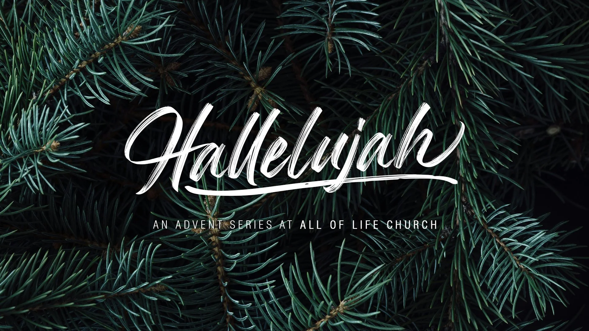 Hallelujah: Joy to the World | Jared Lyda