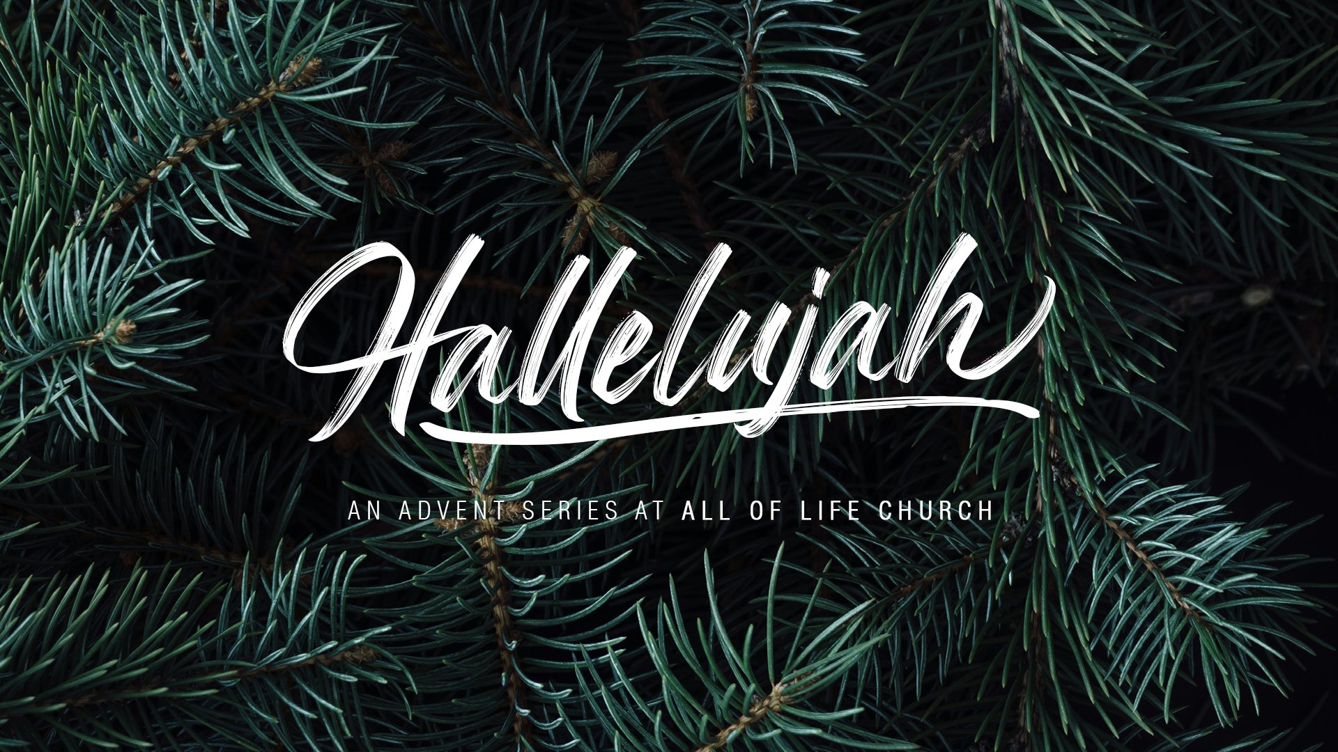 Hallelujah: Angels We Have Heard on High | Jared Lyda