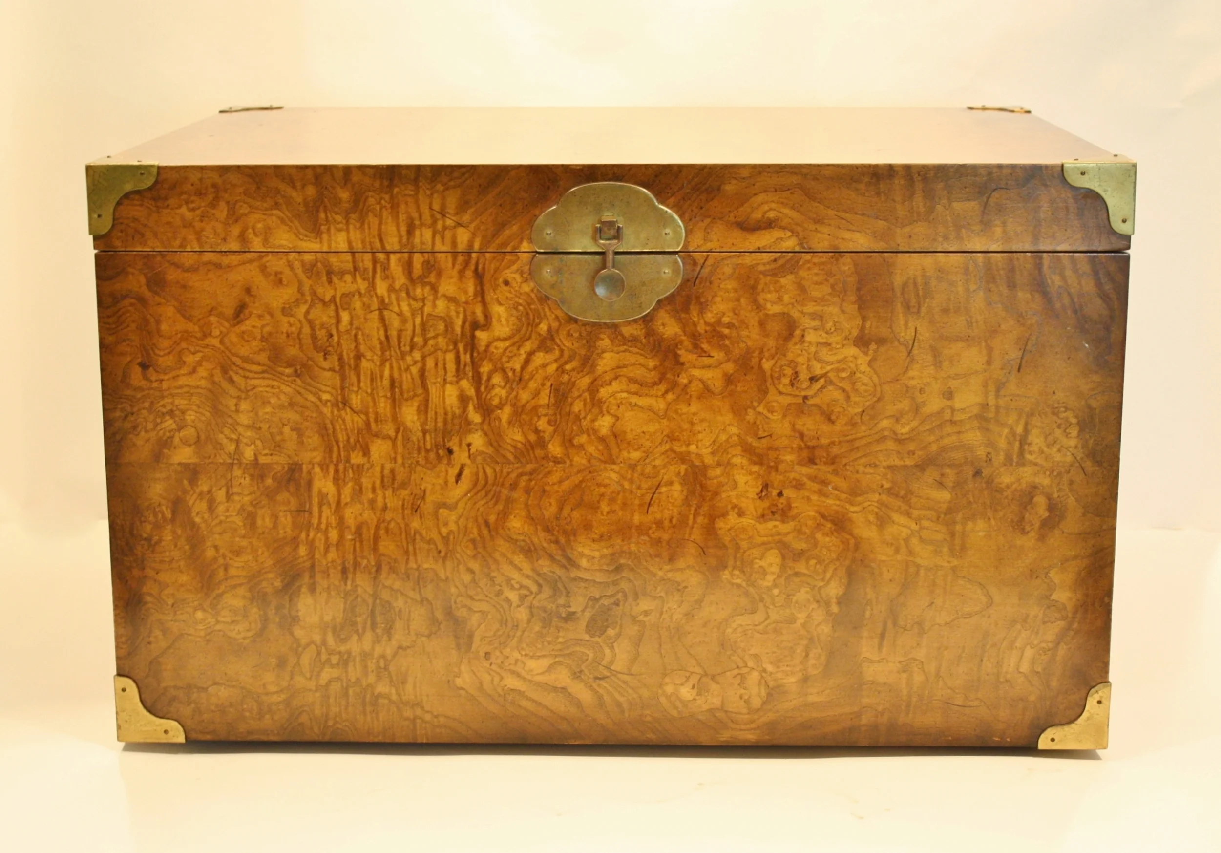 Trunk w white background.JPG