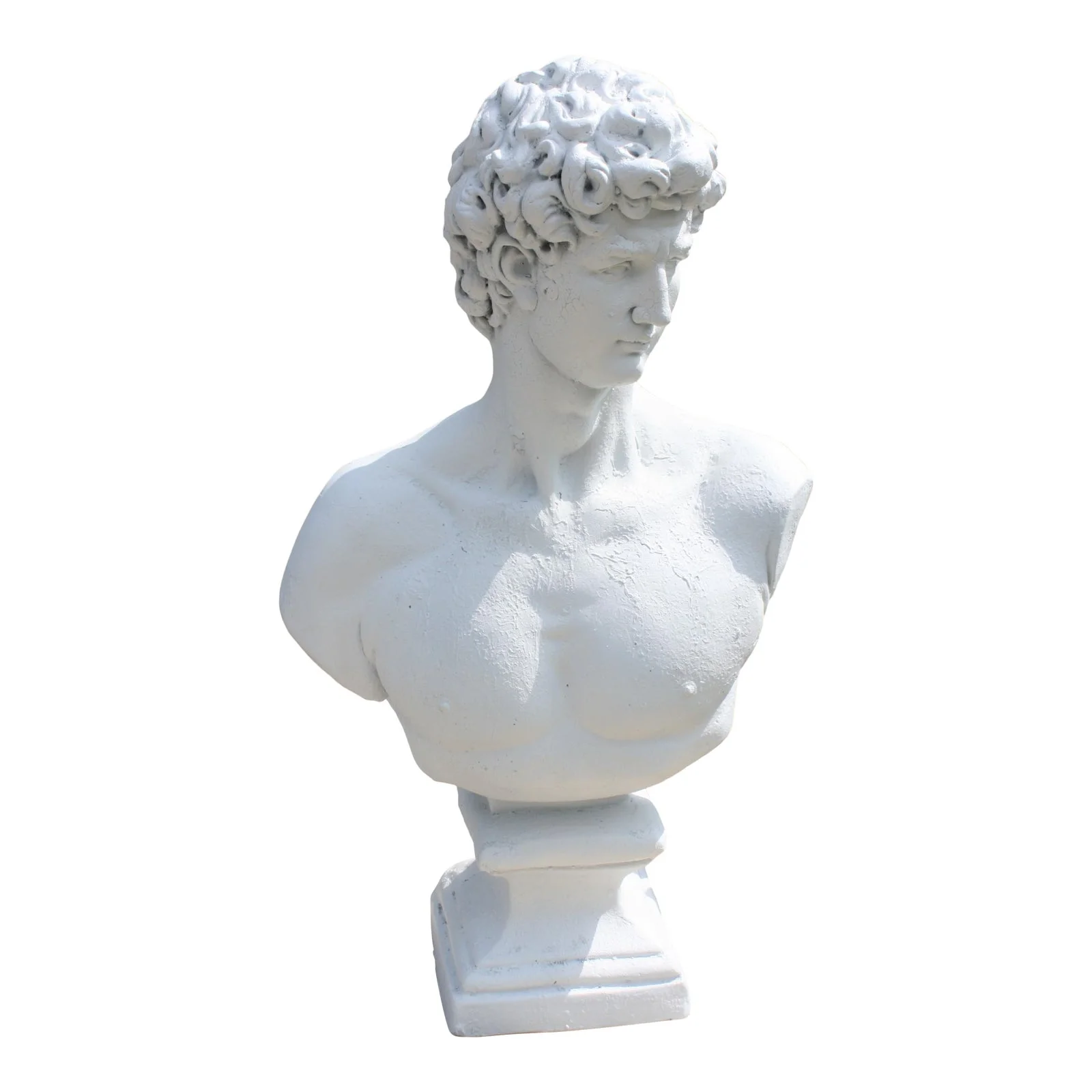 Bust of David.jpg
