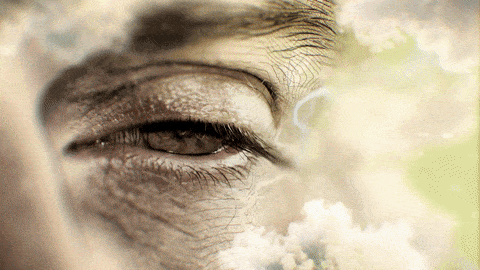 Neumatt 3 Opener 2K DIRECTORS EDITION_apo8_low.gif