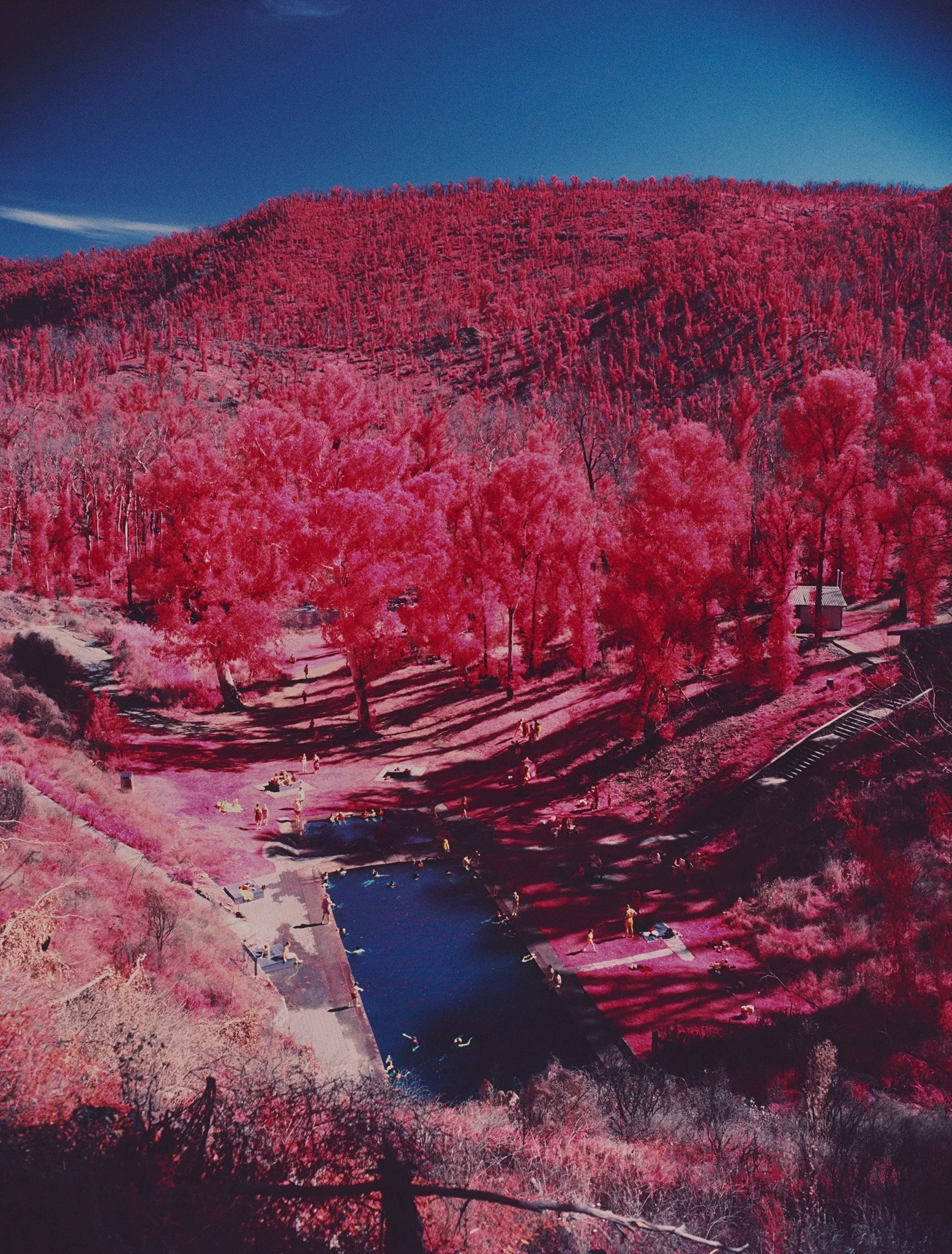 683_ 014_print-sharpened.jpg