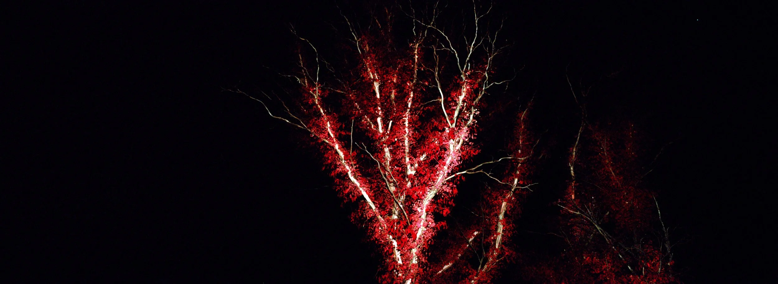 680_010.jpg