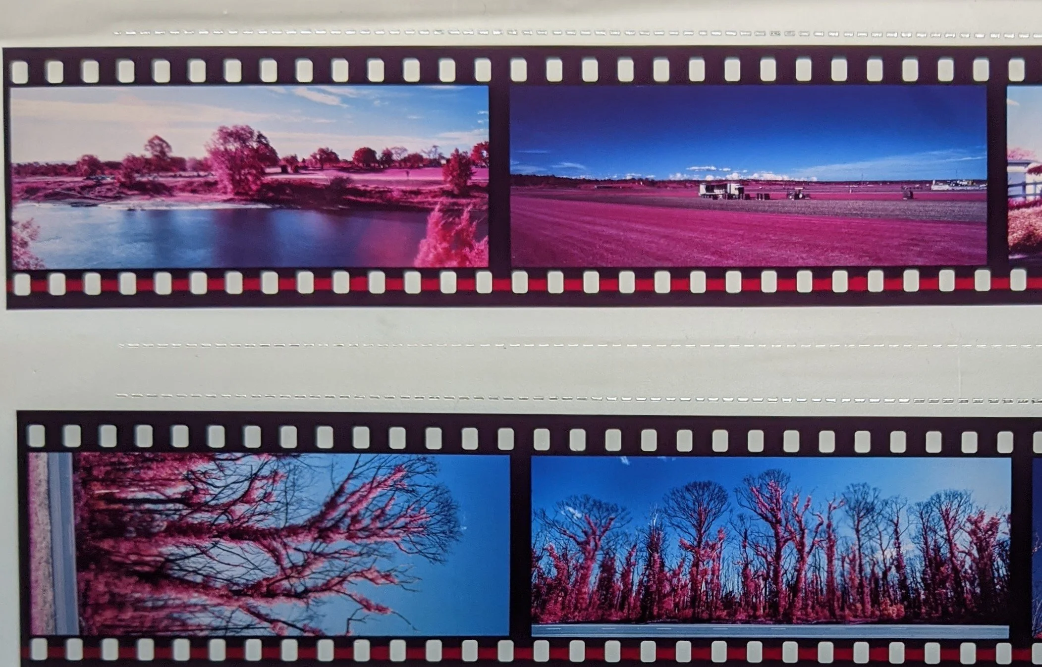 Kodak Aerochrome 1443 E6 slides