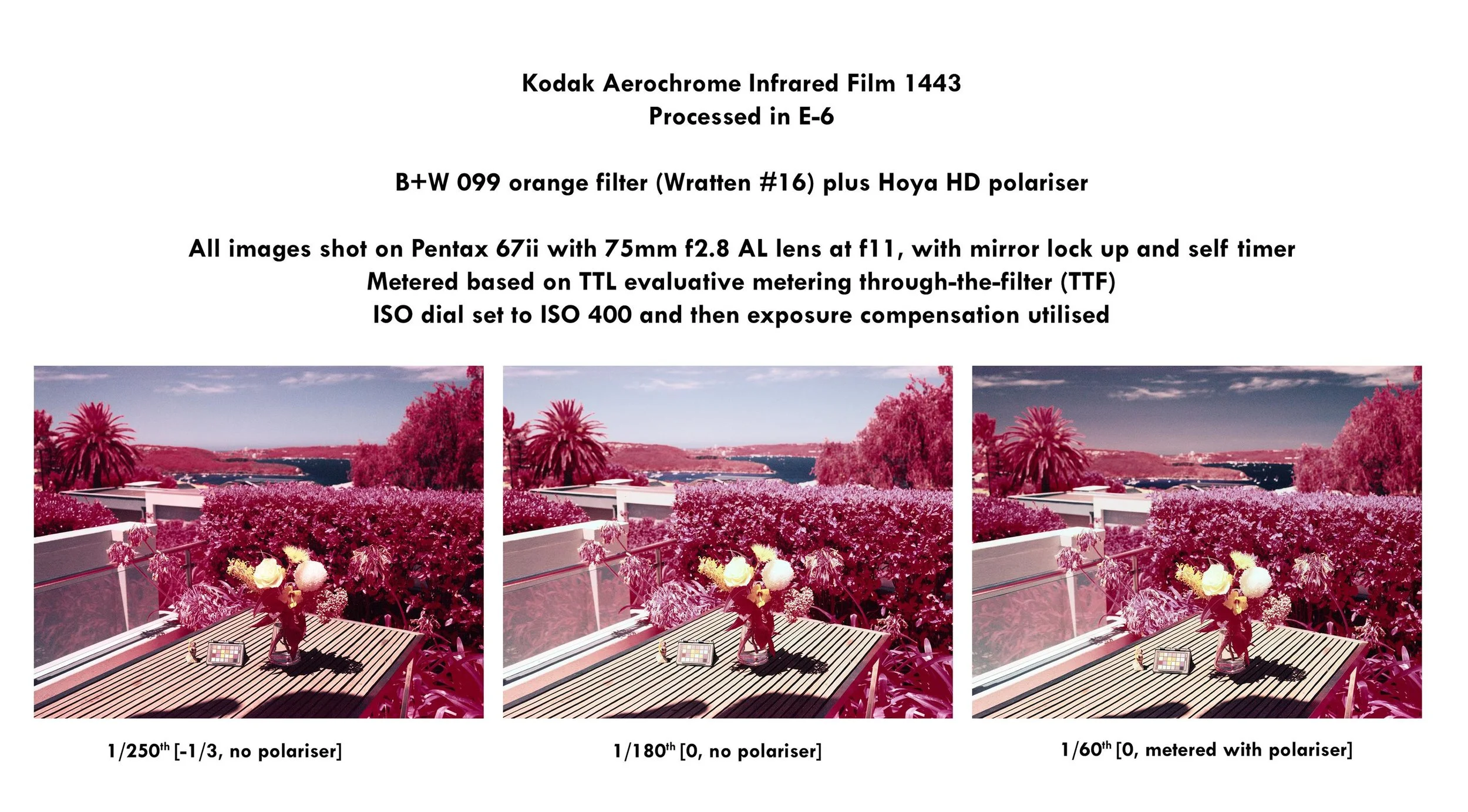 Aerochrome 1443 polariser test
