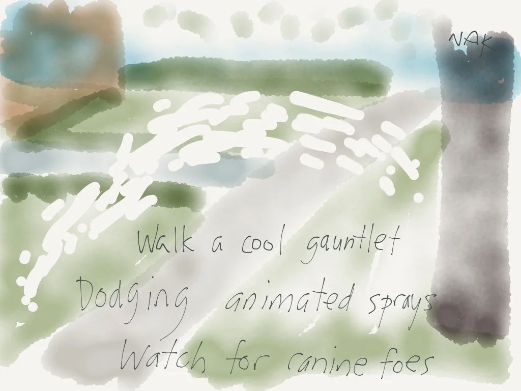 Dog walking game